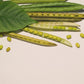 150 MUNG BEAN Moong Sprouts Golden Gram Green Vigna Radiata Vegetable Seeds
