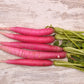 100 PINK SUMMERSICLE RADISH Raphanus Sativus Root Vegetable Seeds