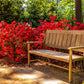 10 RED CUMBERLAND AZALEA Rhododendron Cumberlandense Bush Shrub Flower Seeds