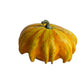 25 TEN COMMANDMENTS GOURD Mix Crown of Thorns Mixed Colors Cucurbita Pepo Seeds
