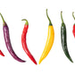 100 MIXED CAYENNE PEPPER Hot Yellow Purple Orange Red Green Capsicum Vegetable Seeds