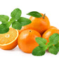 25 Orange MANDARINA BALM Mandarin Lemon Balm Melissa Officinalis Herb Seeds