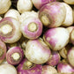 3000 LAURENTIAN RUTABAGA Brassica Napus Vegetable Seeds