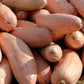25 Jumbo PINK BANANA SQUASH Cucurbita Maxima Heirloom Winter Vegetable Seeds