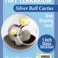 Flowering Cacti Tiny Terrariums Bundle - 2 each of 3 Varieties