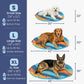 Travel Dog Bed - Foldable & Packable for Travel, Road Trip, Camping
