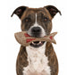Dog Fish Nylon Dog Chew & Enrichment Toy | Ultra-Durable for Aggressive Chewers | SodaPup