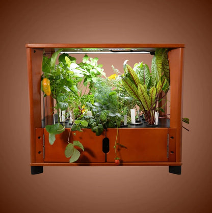 Aquager Home Farm — 24 Plants