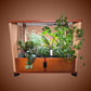 Aquager Home Farm — 24 Plants