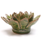 Ceramic Small Green Succulent - Echeveria