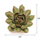 Ceramic Small Green Succulent - Echeveria