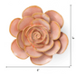 Ceramic Small Pink Ranunculus Flower