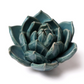 Ceramic Small Teal Succulent - Echeveria