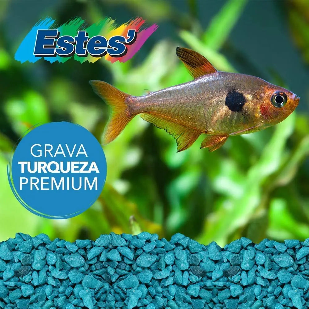Spectrastone Special Turquoise Gravel for Freshwater Aquarium 5lbs.