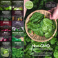 10-Variety Heirloom Spring Vegetable Seed Collection – Non-GMO Cool-Weather Crops for Early, Fall, or Indoor Gardening