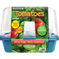 Beefsteak Tomatoes Sprouter Terrarium