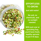 Organic 5 Variety Pack of Fresh Sprouting Seeds