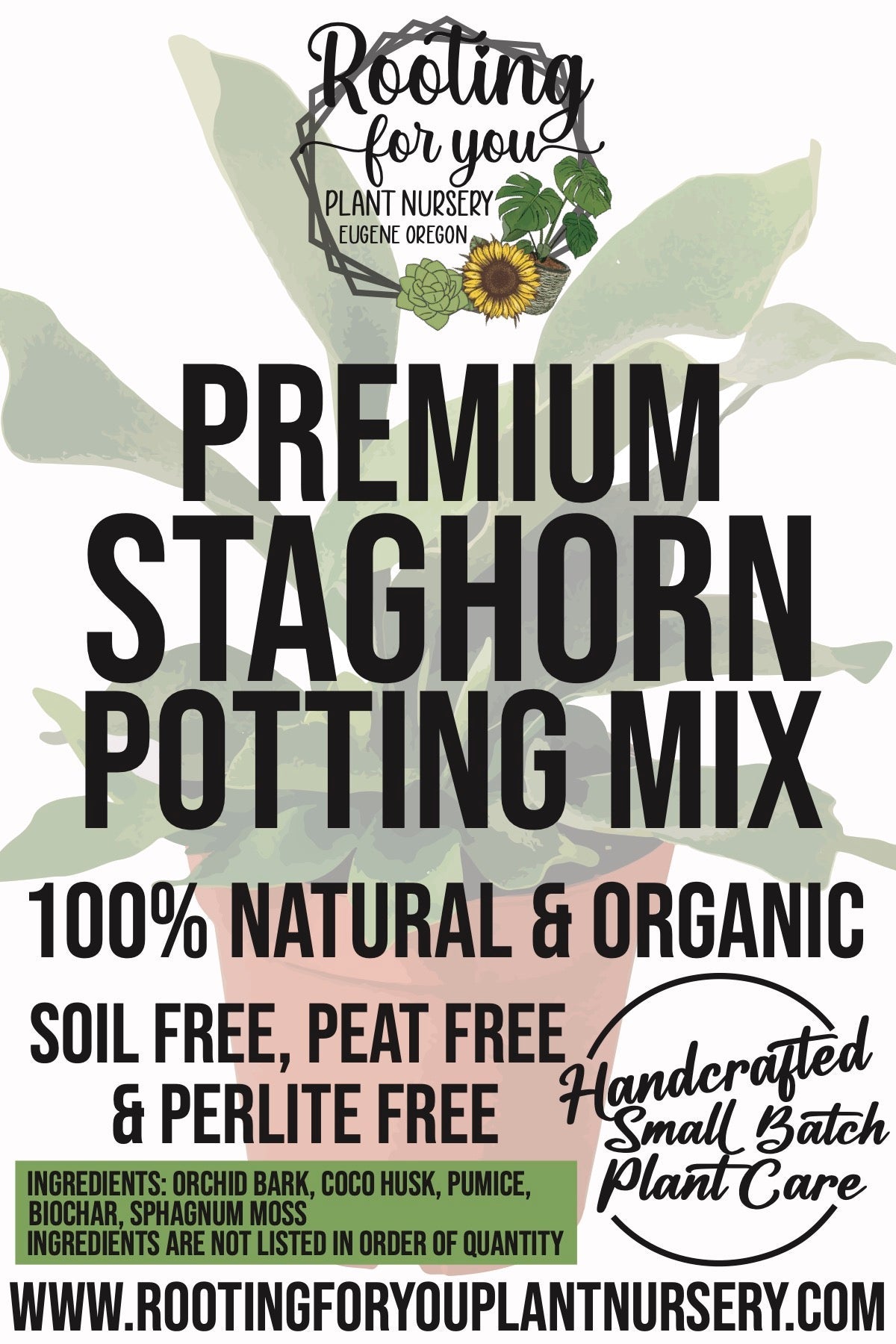 Staghorn Fern Premium Potting Mix