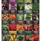 20 Variety Vegetable Garden Starter Seed Collection – Non-GMO Heirloom Kit for Beginner-Friendly Home Growing