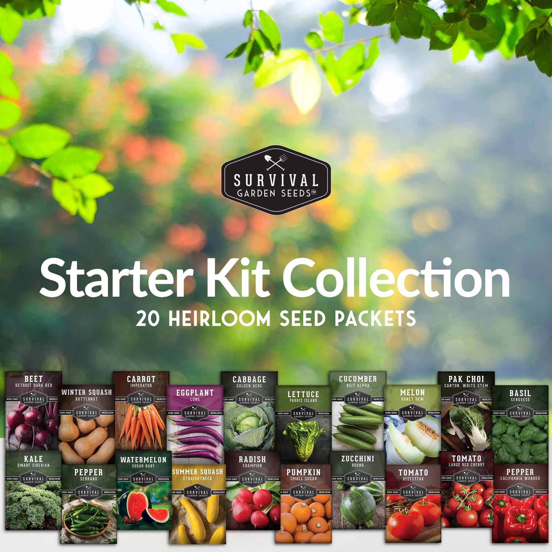 vegetable garden seed starter kit 20 Vegetable Starter Heirloom Seeds