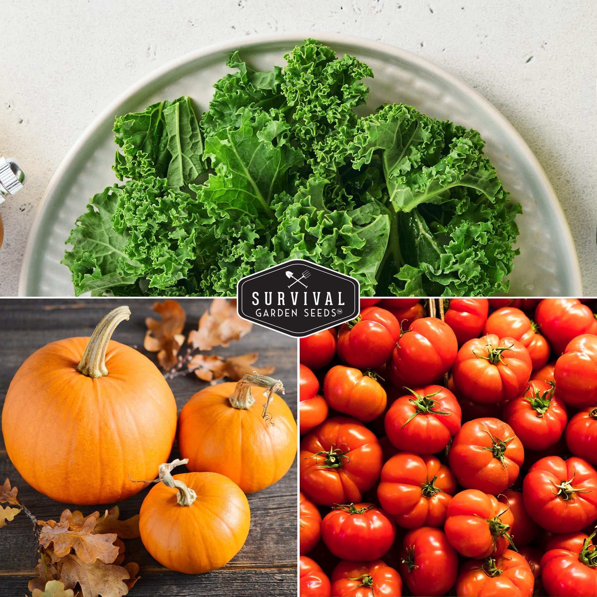 starter vegetable garden seeds 20 Vegetable Starter Heirloom Seeds