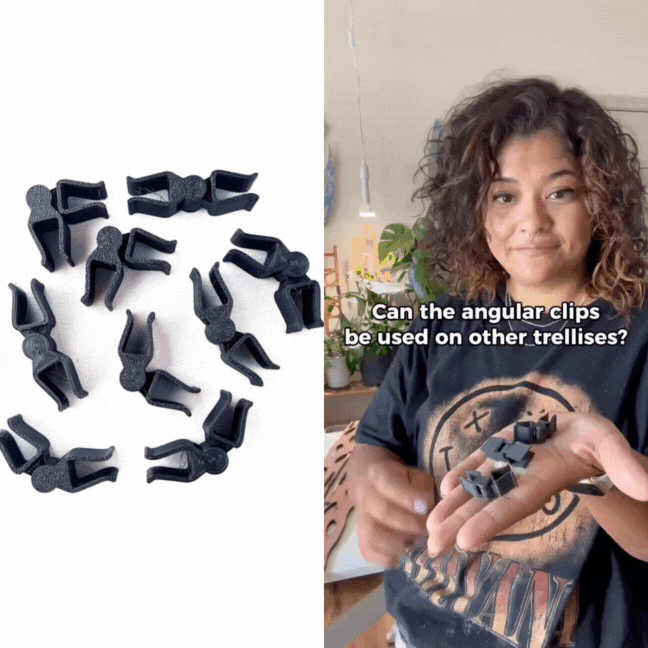 Stella - Modular ladder support