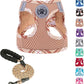 Step-In Dog Harness & Leash Set in Various Patterns – Reflective No Pull (XS- XL)