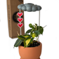 Stormy Dripping Rain Cloud with Pixel Heart Charm Set