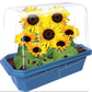 Dwarf Sunflowers Sprouter Terrarium