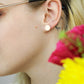 Sunspot Studs