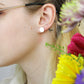 Sunspot Studs