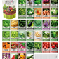 Vegetable Seed Vault Kit – 35 Heirloom Non-GMO Vegetable Seeds for Gardening & Survival Food Storage