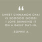 Sweet Cinnamon Chai No. 40 – Spiced Probiotic White Tea Discs