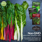 Swiss Chard 3 Variety Seed Collection – Rainbow, Ruby Red, and Fordhook Giant Heirloom Greens for Continuous Harvests