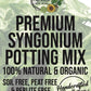 SYNGONIUM Premium Potting Mix