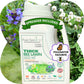 Thick Bee Lawn Seed Kit
