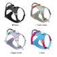 TrueLove Dog Harness with Light TLH6771
