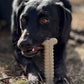 Tough Bone Nylon Chew Bone | Ultra-Durable Dog Toy for Aggressive Chewers | SodaPup
