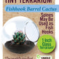 Cacti Tiny Terrariums Bundle - 1 each of 6 Varieties