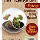Carnivorous Tiny Terrariums Bundle - 2 each of 2 Varieties