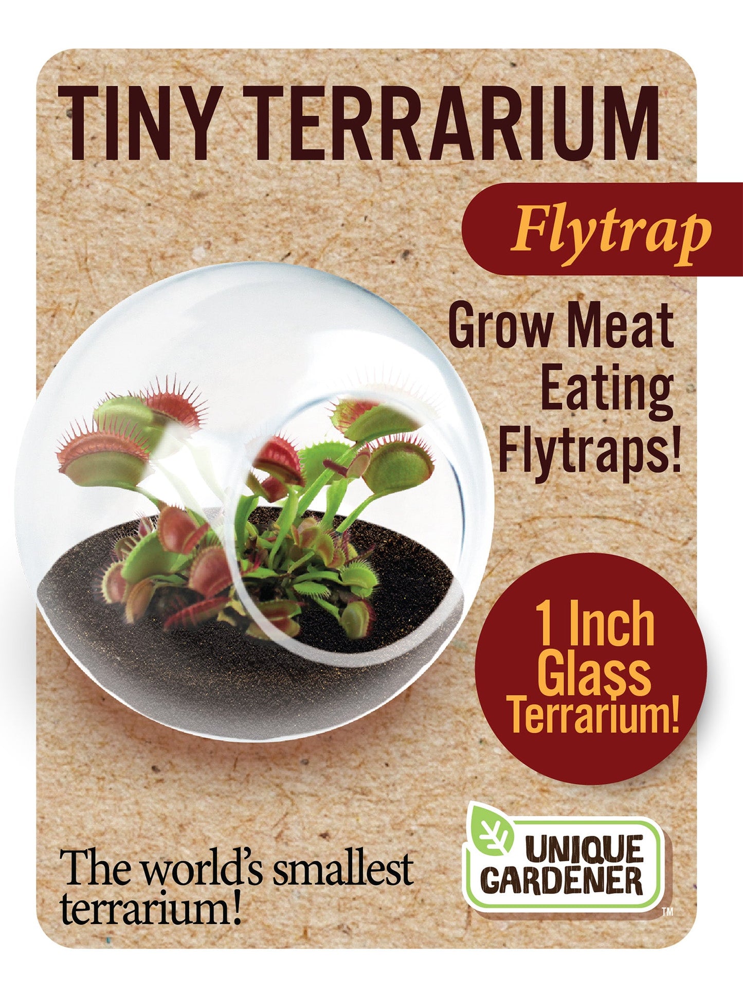 Carnivorous Tiny Terrariums Bundle - 2 each of 2 Varieties