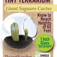 Cacti Tiny Terrariums Bundle - 1 each of 6 Varieties
