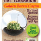 Cacti Tiny Terrariums Bundle - 1 each of 6 Varieties