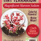 Sedum Tiny Terrariums Bundle - 1 each of 4 Varieties