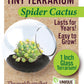 Cacti Tiny Terrariums Bundle - 1 each of 6 Varieties