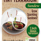 Carnivorous Tiny Terrariums Bundle - 2 each of 2 Varieties