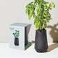 Tapered Tumbler Grow Kits