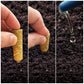 The Old Farmer's Almanac Tomato & Vegetable Plant Food Mini Spikes