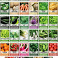 Survival Seed Vault Kit - 70 Heirloom Varieties for Self-Sufficient Gardening