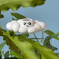 Cliff the Cloud
